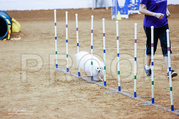 _CL_1071-FWAgilJun2015-HR3