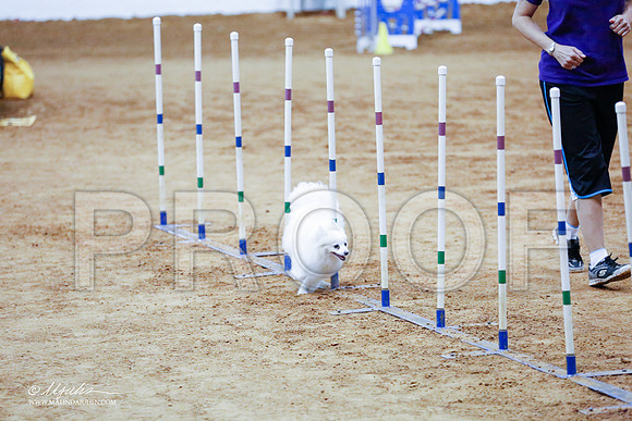 _CL_1072-FWAgilJun2015-HR3