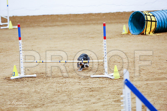 _CL_1453-FWAgilJun2015-HR3