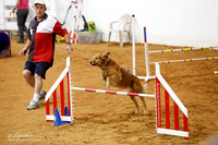 Std Exc 20 Sat David Bull Mandy