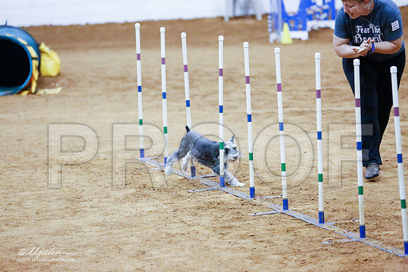 _CL_1021-FWAgilJun2015-HR3