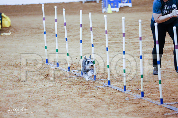 _CL_1023-FWAgilJun2015-HR3