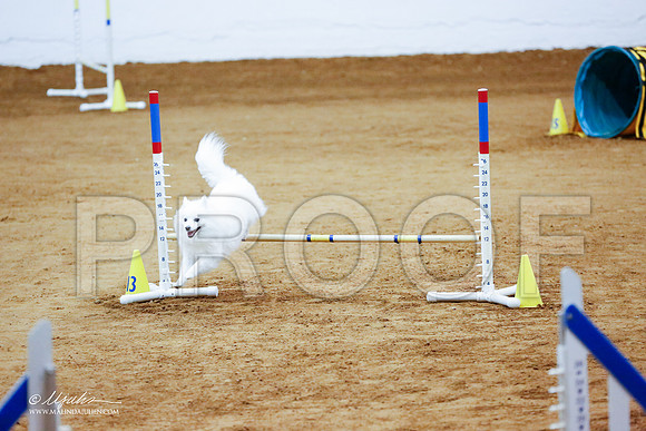 _CL_1285-FWAgilJun2015-HR3