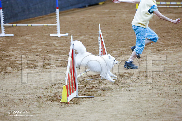 _CL_1289-FWAgilJun2015-HR3
