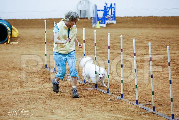 _CL_1300-FWAgilJun2015-HR3