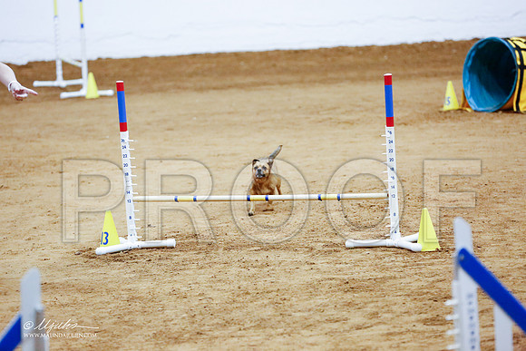 _CL_1254-FWAgilJun2015-HR3