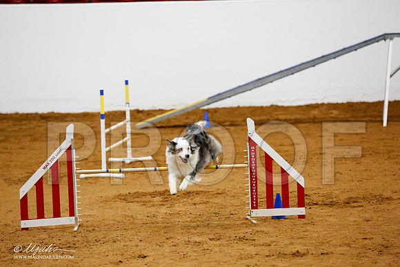 _CL_9088-FWAgilJun2015-HR3