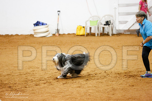 _CL_9043-FWAgilJun2015-HR3