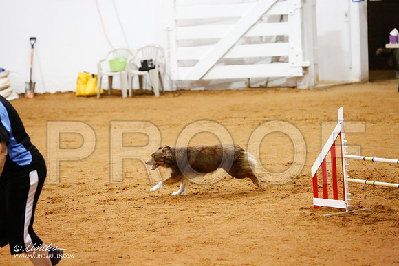 _CL_8776-FWAgilJun2015-HR3