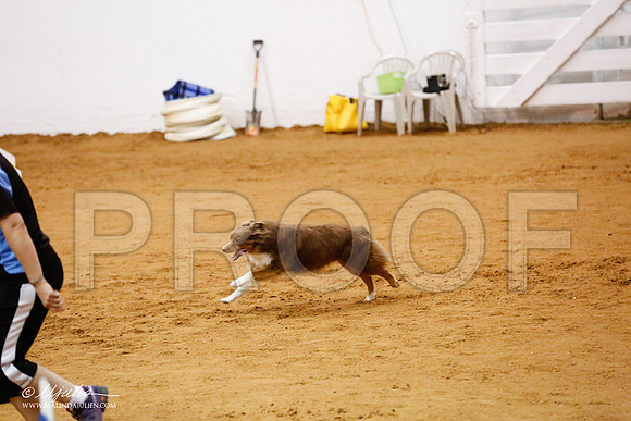 _CL_8778-FWAgilJun2015-HR3