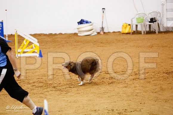 _CL_8779-FWAgilJun2015-HR3
