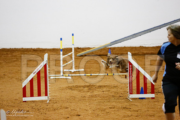 _CL_8786-FWAgilJun2015-HR3