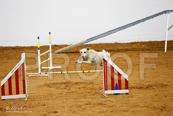 _CL_8946-FWAgilJun2015-HR3
