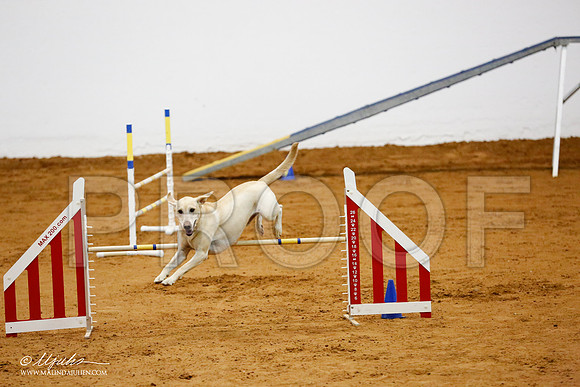 _CL_8947-FWAgilJun2015-HR3