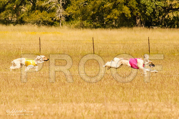 _MJ_5548-AfgBeltonOct2014-HR3