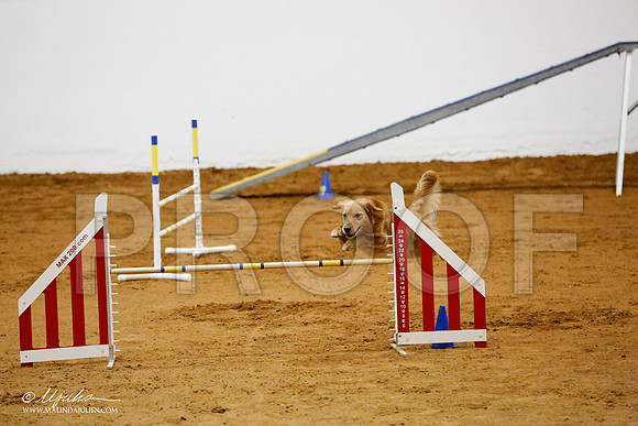 _CL_8677-FWAgilJun2015-HR3