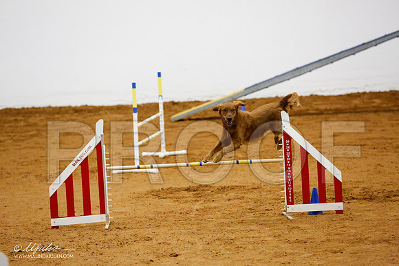 _CL_8704-FWAgilJun2015-HR3