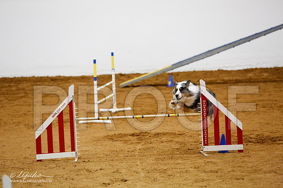 _CL_8412-FWAgilJun2015-HR3