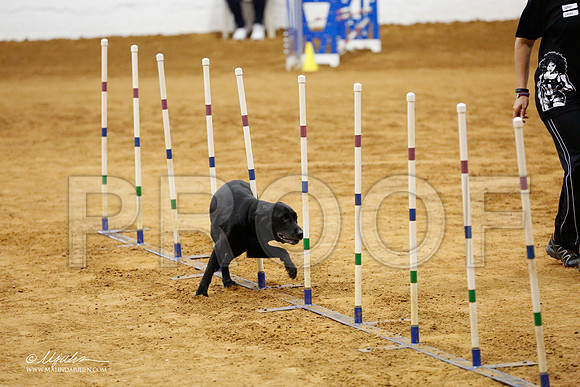 _CL_0739-FWAgilJun2015-HR3