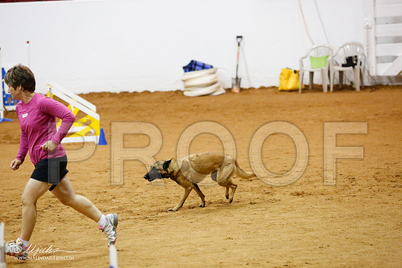 _CL_9353-FWAgilJun2015-HR3