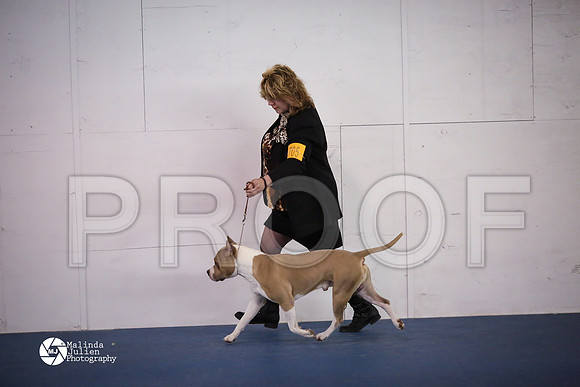 APBT-5463-HtoJan14-HR