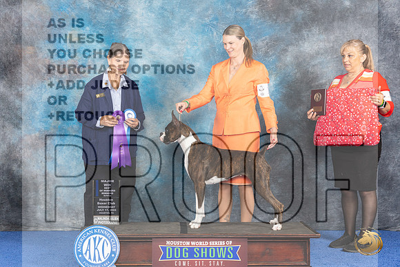 Boxer #14 WED WB BOW M Judge Cathy De La Garza__JP_6556_Houston_2024_HR3