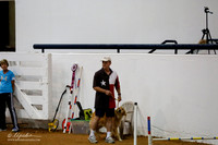 Std Exc 24 Sat David Bull Wally