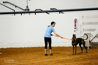 JWW Exc 20 Fri Christine Beisert Dolce