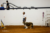 JWW Exc 20 Fri Collie Vincent Dragotta Dillon