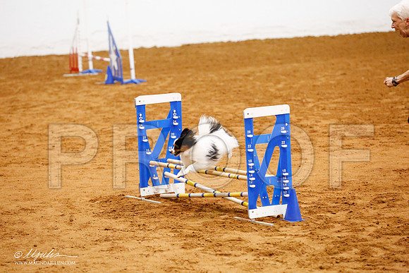 _CL_7696-FWAgilJun2015-HR3