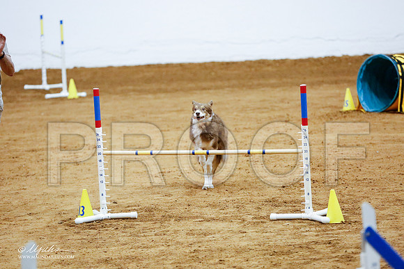 _CL_8981-FWAgilJun2015-HR3