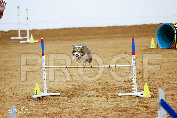 _CL_8982-FWAgilJun2015-HR3