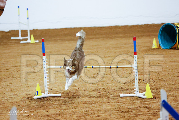 _CL_8983-FWAgilJun2015-HR3