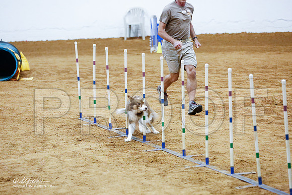 _CL_8991-FWAgilJun2015-HR3