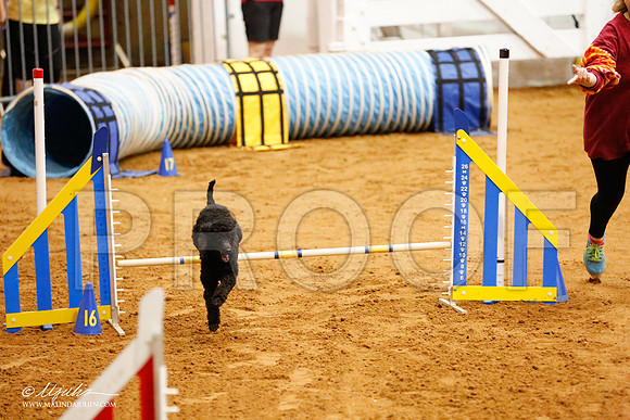 _CL_7721-FWAgilJun2015-HR3