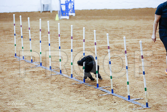_CL_8513-FWAgilJun2015-HR3