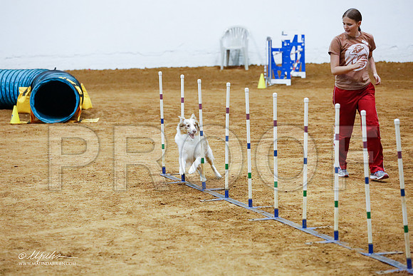 _CL_8631-FWAgilJun2015-HR3