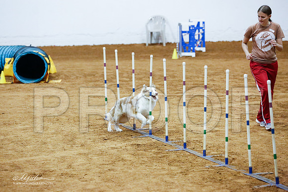 _CL_8633-FWAgilJun2015-HR3