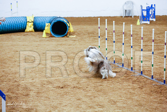 _CL_8572-FWAgilJun2015-HR3