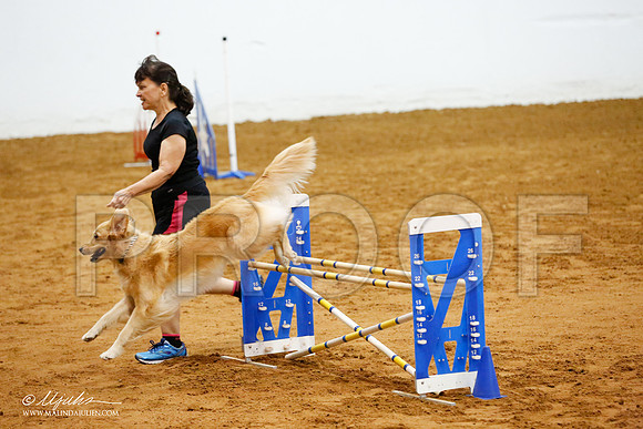 _CL_7941-FWAgilJun2015-HR3