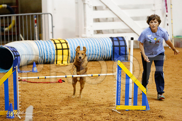 _CL_8171-FWAgilJun2015-HR3