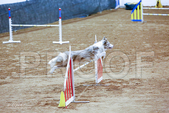 _CL_8443-FWAgilJun2015-HR3