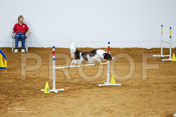 _CL_8889-FWAgilJun2015-HR3