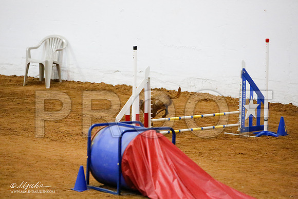 _JJ_9039-FWAgilJun2015-HR3