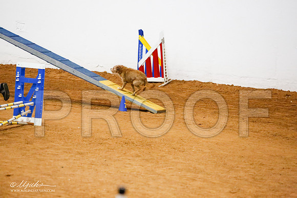 _JJ_9040-FWAgilJun2015-HR3