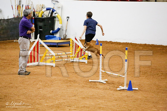 _JJ_9048-FWAgilJun2015-HR3