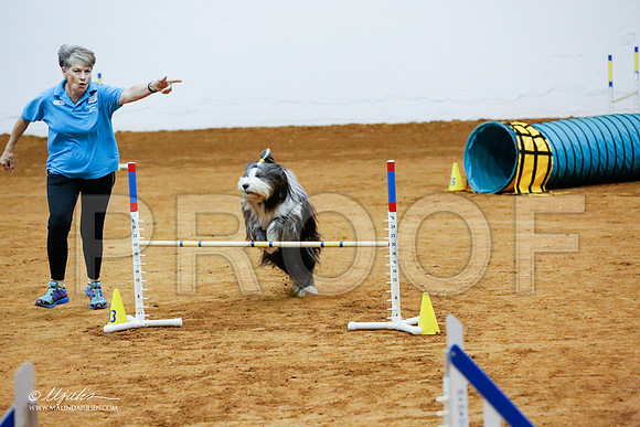 _CL_8470-FWAgilJun2015-HR3