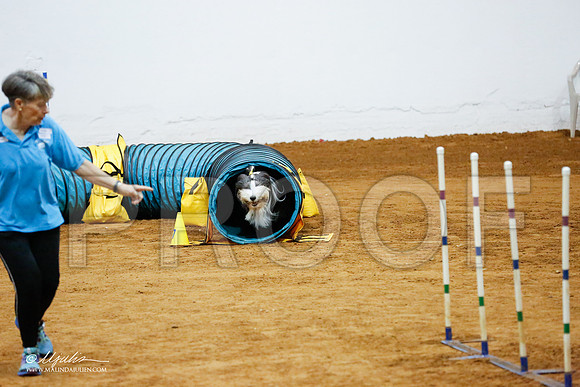 _CL_8477-FWAgilJun2015-HR3