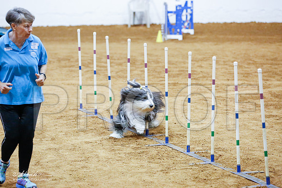 _CL_8482-FWAgilJun2015-HR3