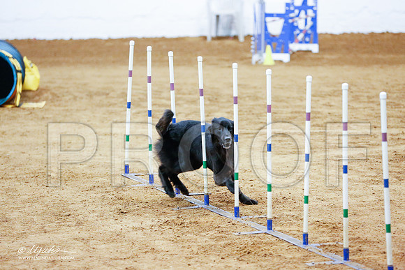 _CL_9399-FWAgilJun2015-HR3